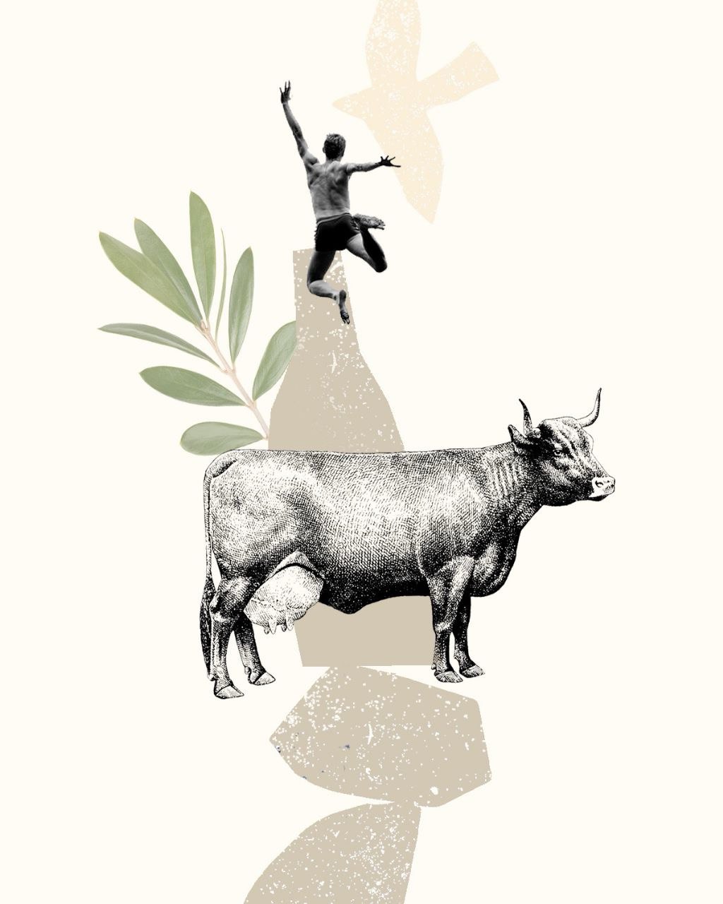 photo_2025-10-31_12-54-27