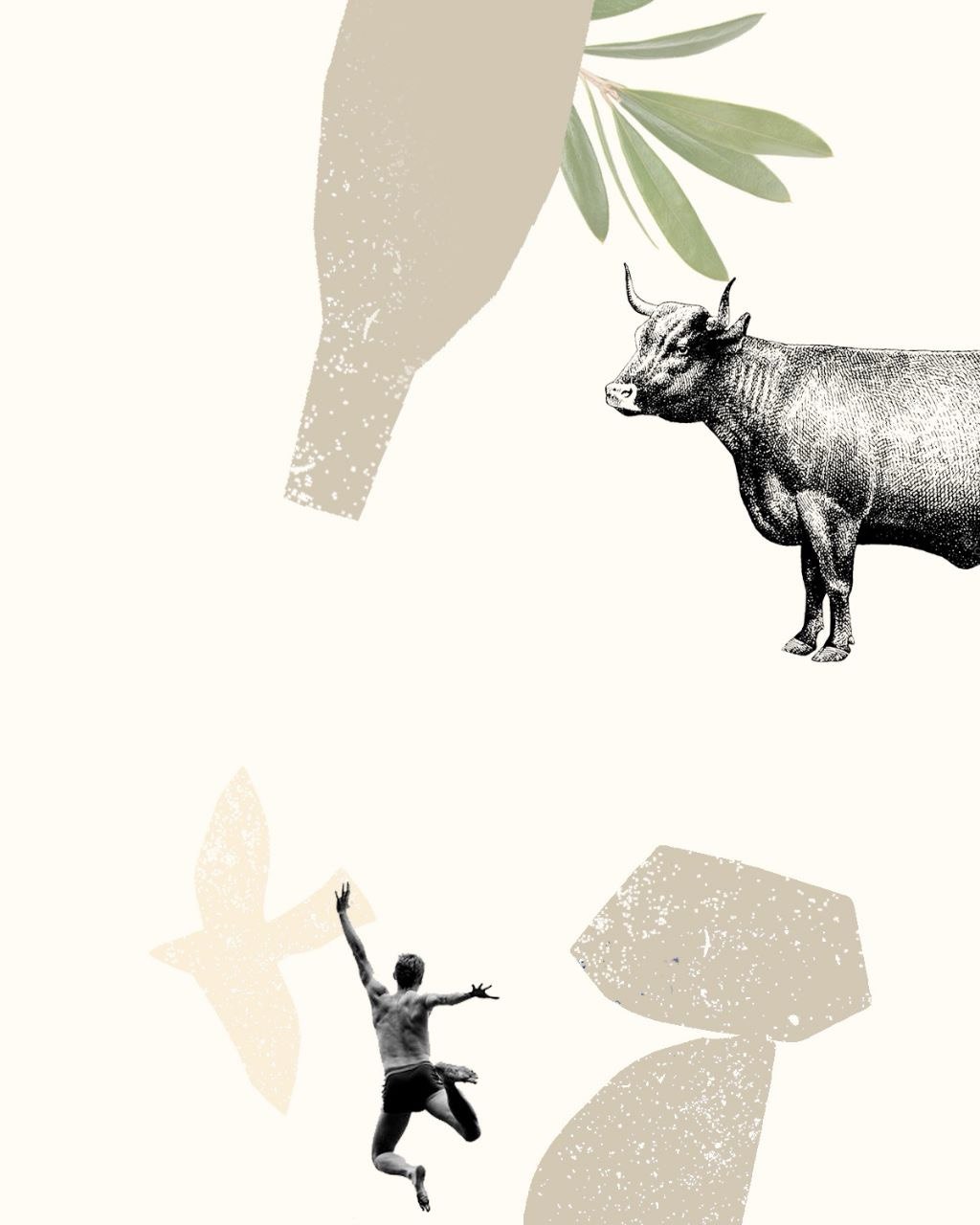 photo_2025-10-31_12-54-32